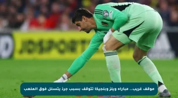 موقف غريب.. مباراة ويلز وبلجيكا تتوقف بسبب جرذ يتسلل فوق الملعب